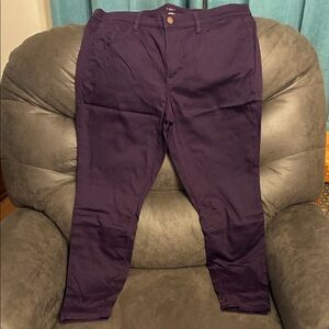Women’s Plum Loft Outlet Skinny Jeans
